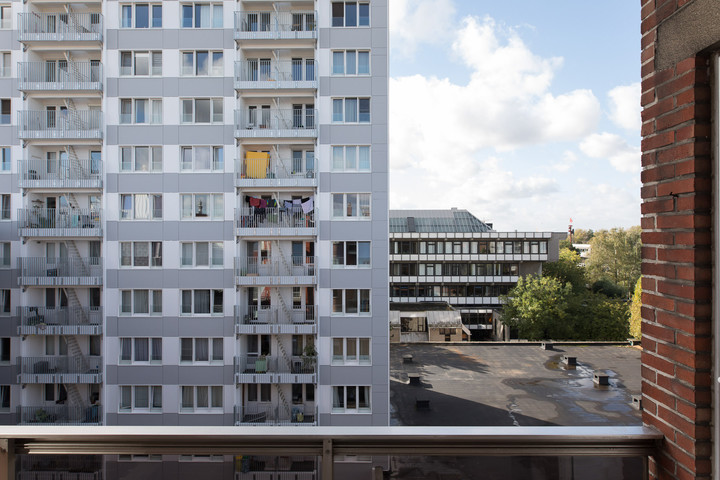 websitewebfotografie326.jpg-landscape