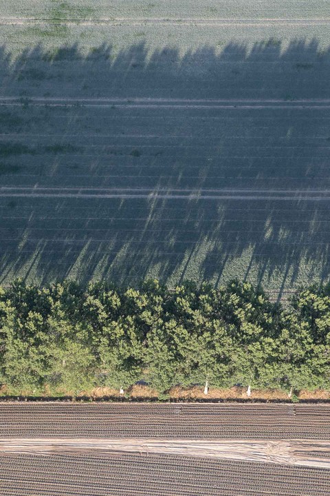 websitewebfotografie417.jpg-portrait