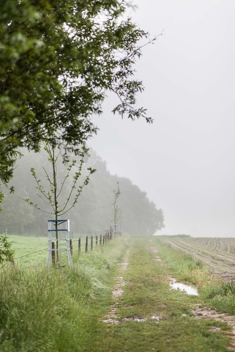 websitewebfotografie195.jpg-portrait