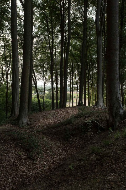 websitewebfotografie205.jpg-portrait