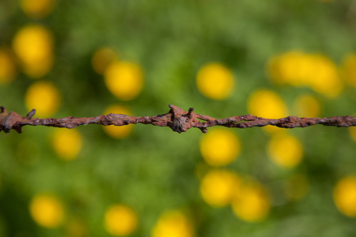 websitewebfotografie25.jpg-landscape