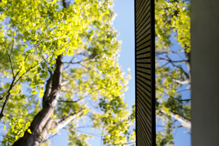 websitewebfotografie4-3.jpg-landscape