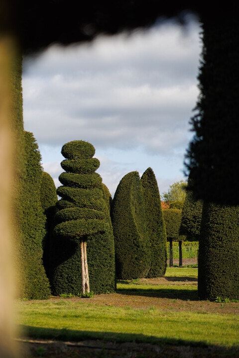 omgevingbomen3.jpg-portrait