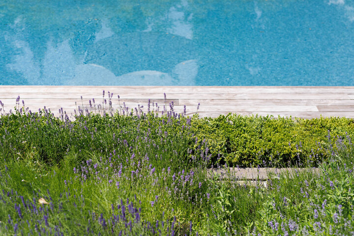 omgevingirres9.jpg-landscape